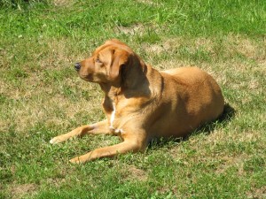 Our Sadie, 2003 - 2012