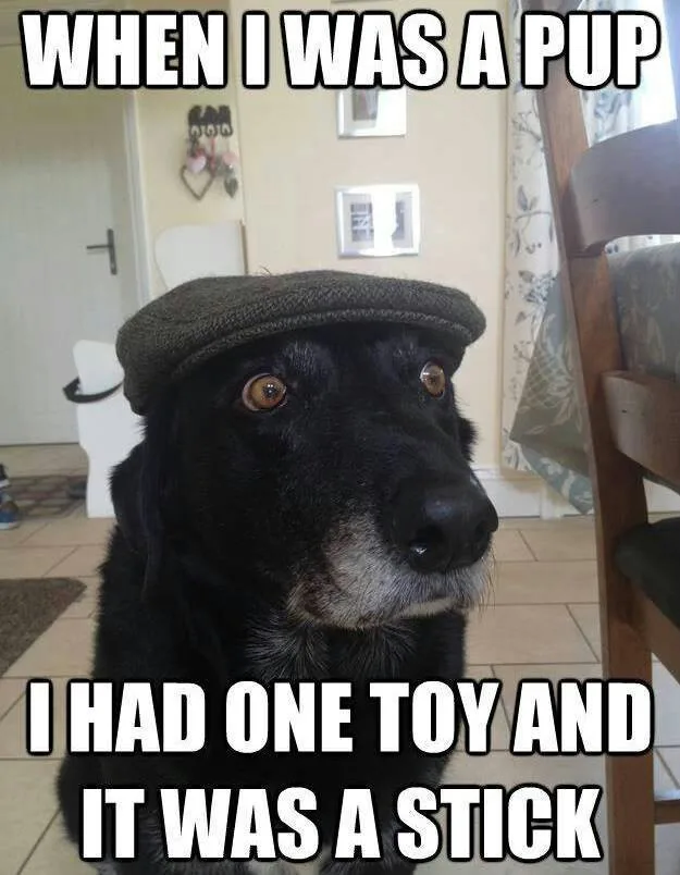 olddogstick