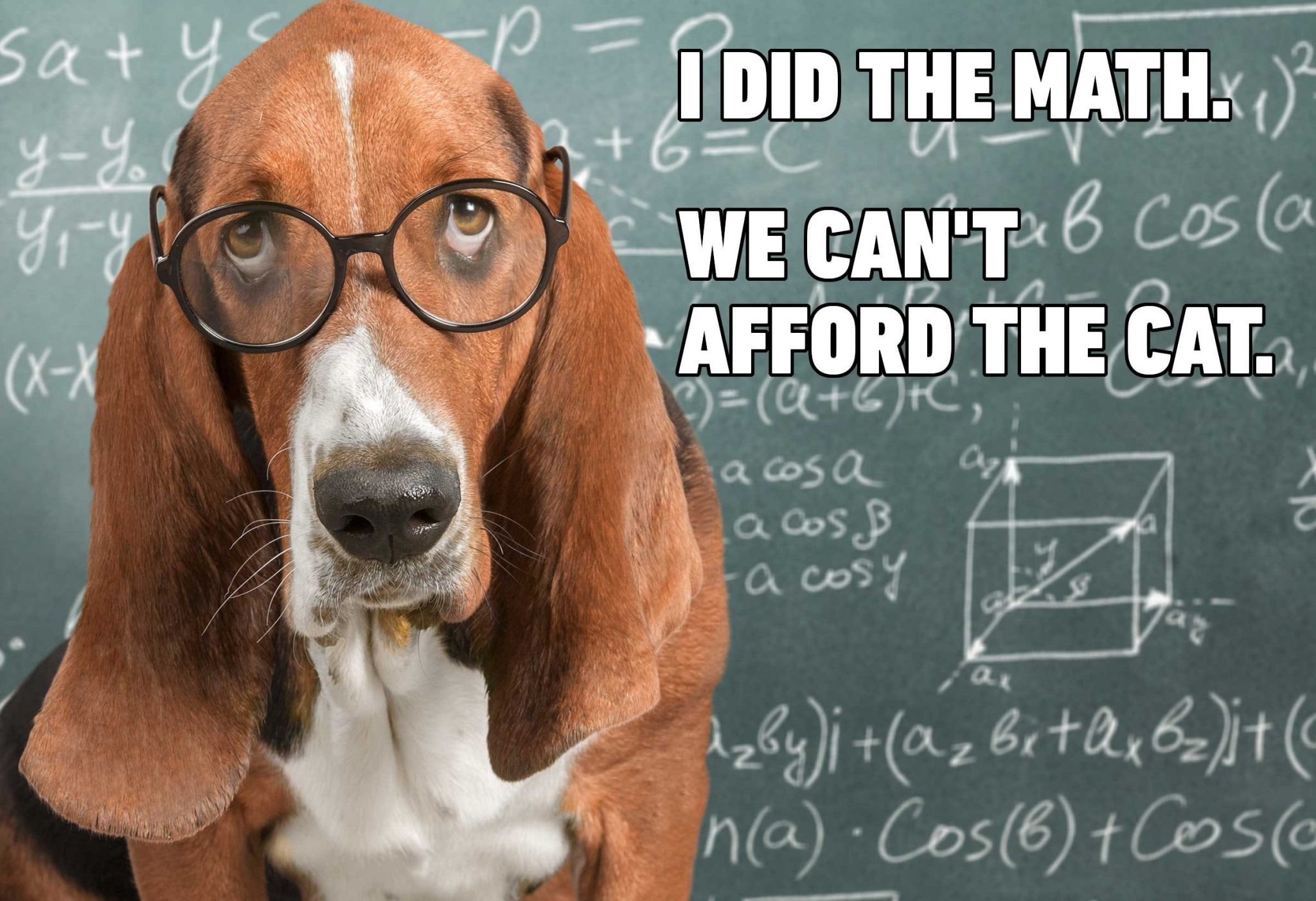 i-did-the-math-we-can-t-afford-the-cat-redogulous