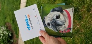 Chewy Sends Grieving Pet Owners Sympathy Gifts