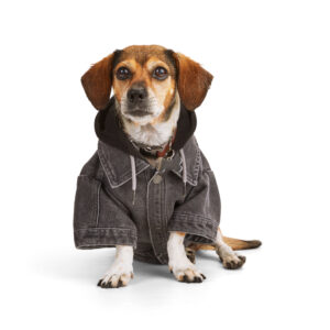 Reddy Denim Hooded Dog Jacket, Large