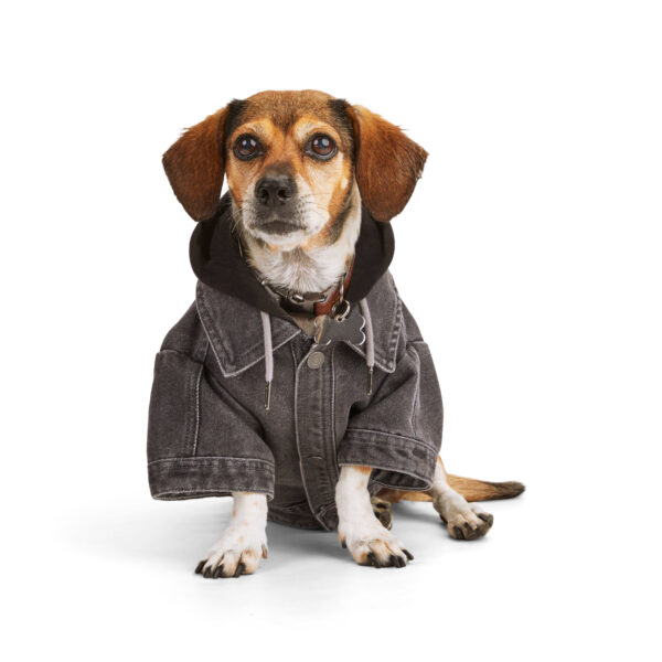 Reddy Denim Hooded Dog Jacket, Large