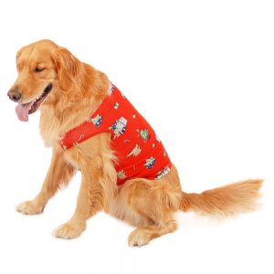 The Child Holiday Pajama for Dogs by Munki Munki