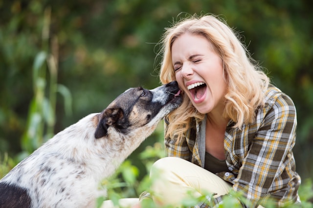Why Does My Dog Lick Me So Much?